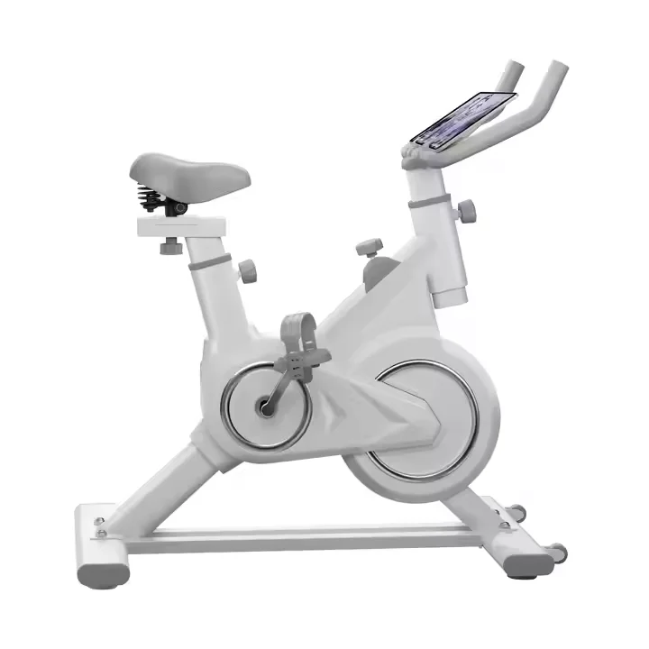 Stationary Sport Static Bicycle Silent Ergonomic Exercise 100kg Spinning Bike For Indoor Gym