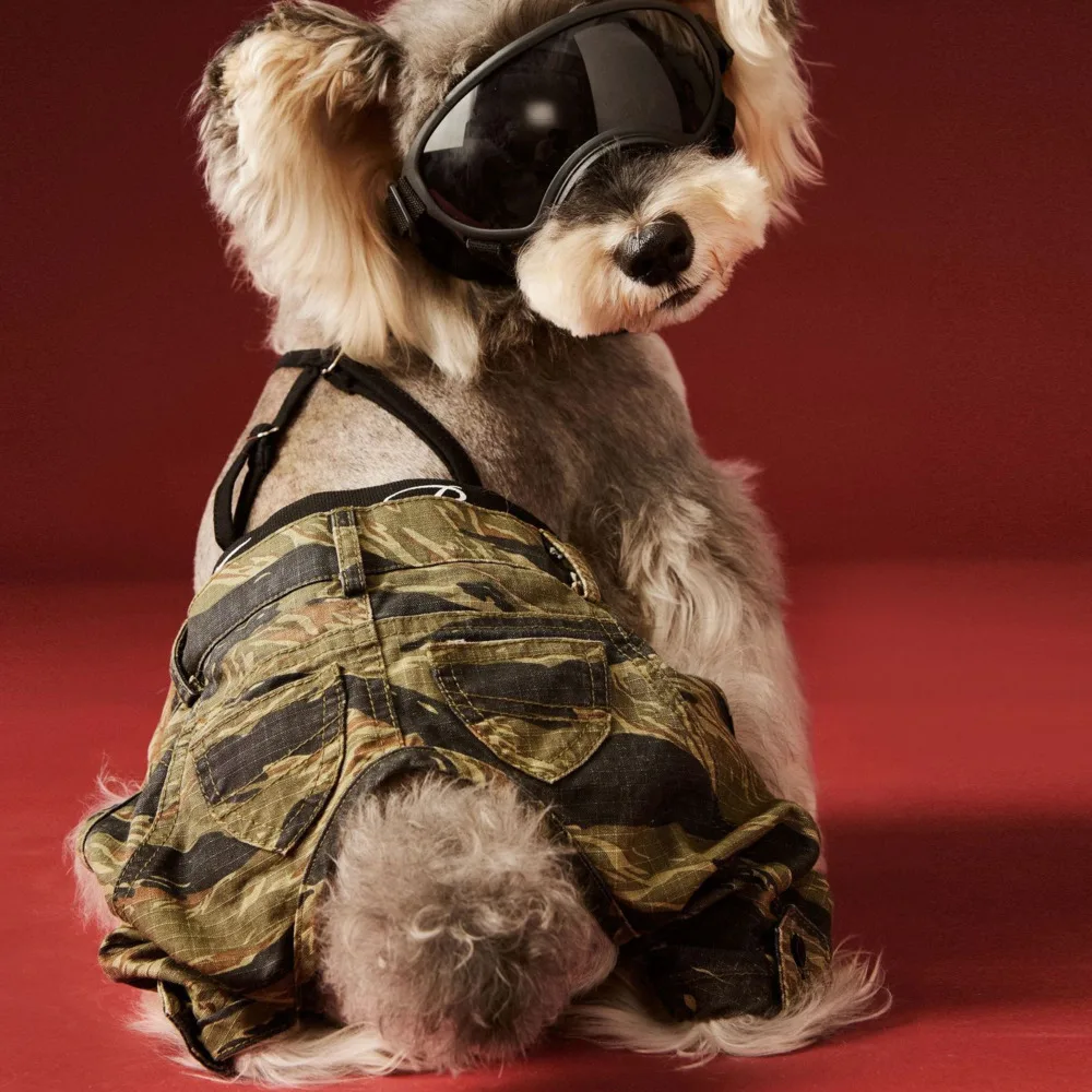 

Halloween Pet Cosplay Dog Clothes Trendy And Handsome Wearing Camouflage Pants Schnauzer Bear Shiba Inu Strap