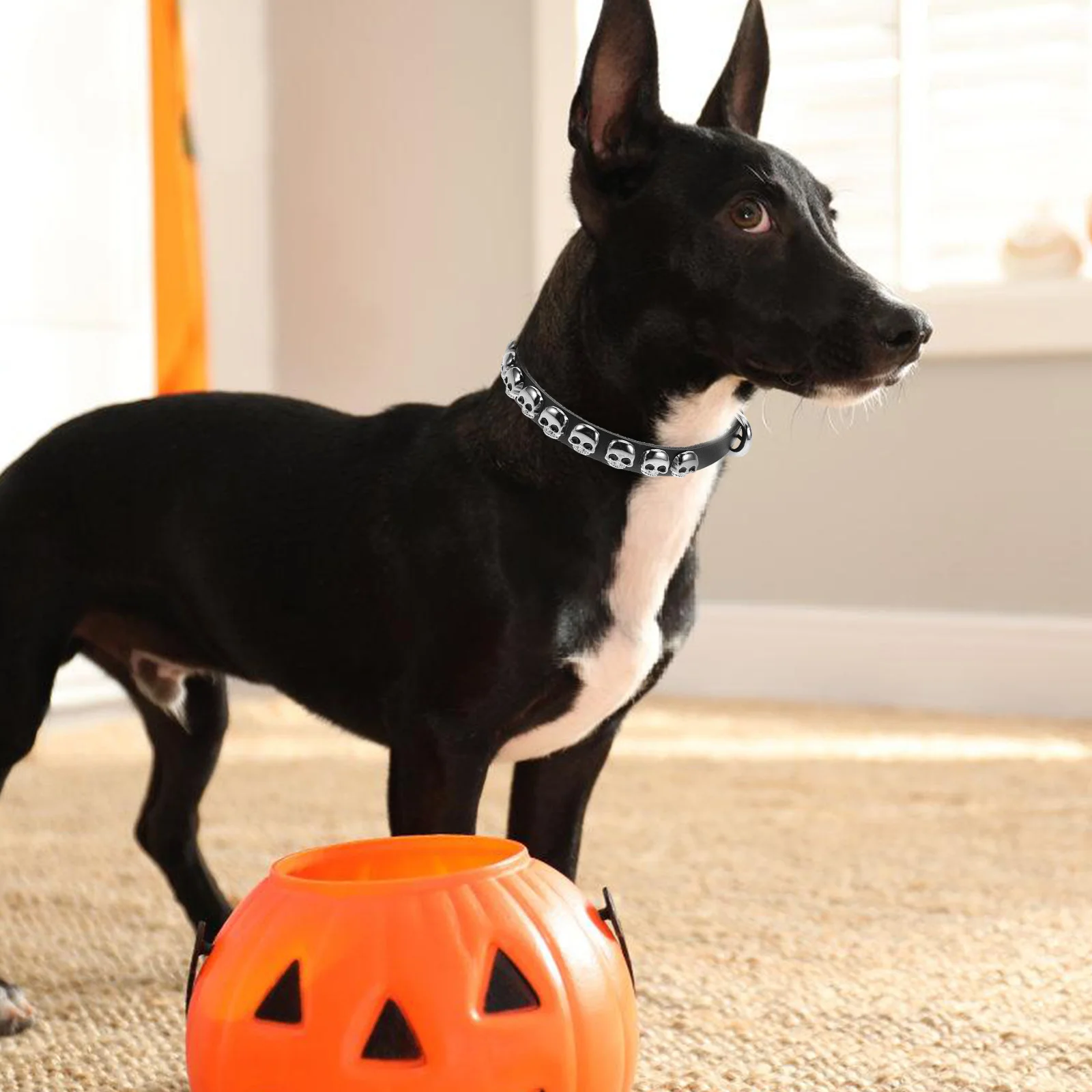 

Pet Collar Dog Collars Animal Puppy Supply for Dogs Adjustable Halloween Small Puppies