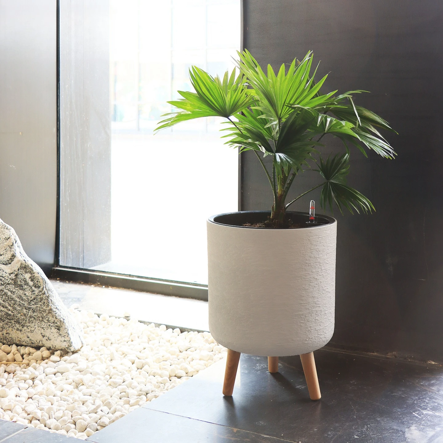 Nordic imitation cement plastic simple large modern living room with feet courtyard green plant imitation magnesium mud self