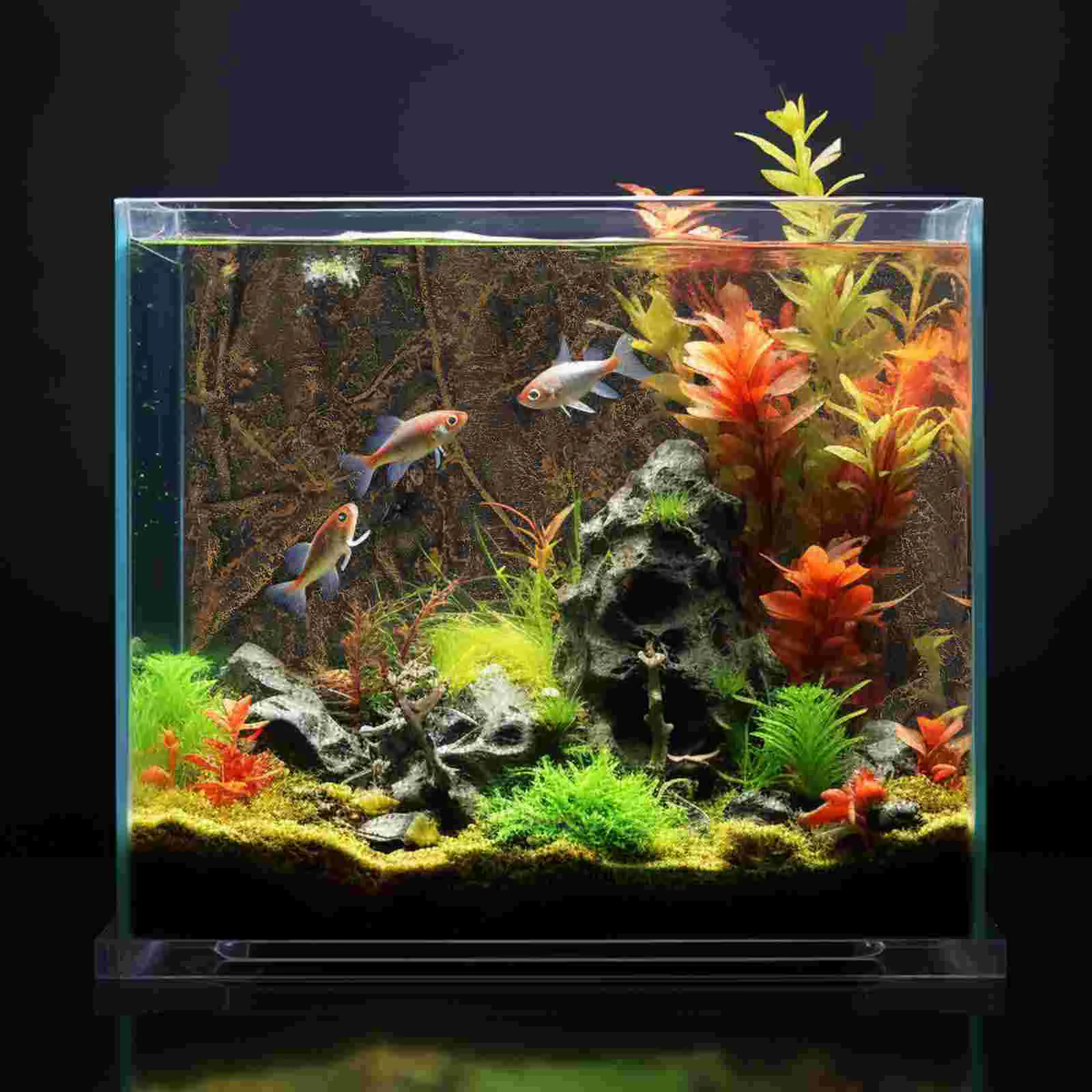 Background Plate for Fish Tank Board Aquarium 3D Turtle Decor Glass Rock and Roll