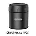 1 Charging case
