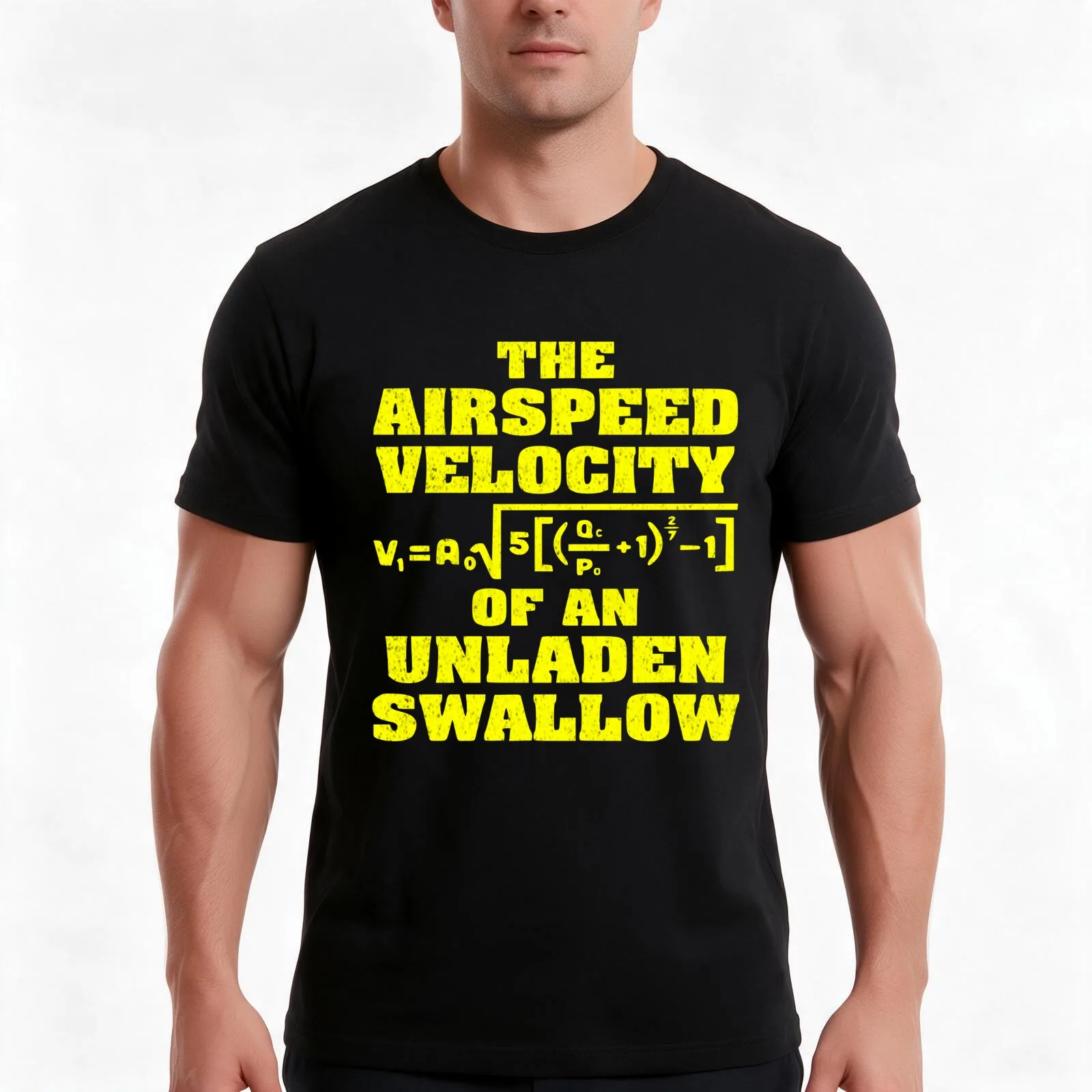 The Airspeed Velocity of an Unladen Swallow - A Math Formula T-Shirt Summer Casual Cotton Tee Oversized Streetwear Tops