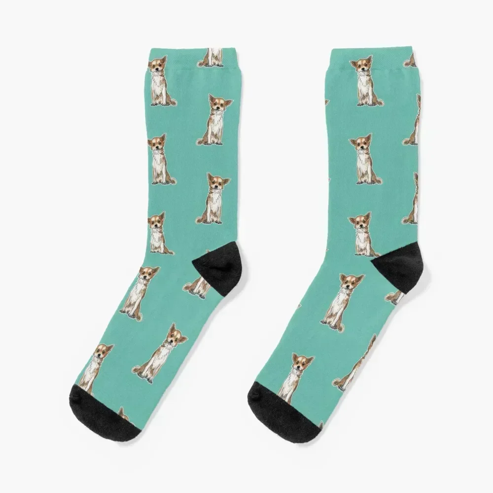 

Long hair chihuahua Socks fashionable designer essential retro Women's Socks Men's