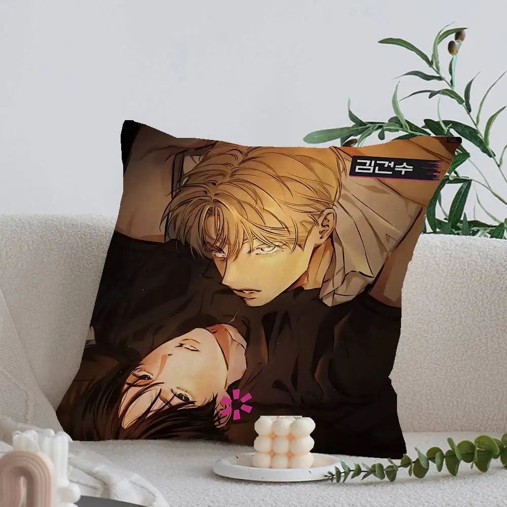 STAGE BEHIND bl Cushion Cover Decorative Pillow Sofa Home Decor case pillow cases
