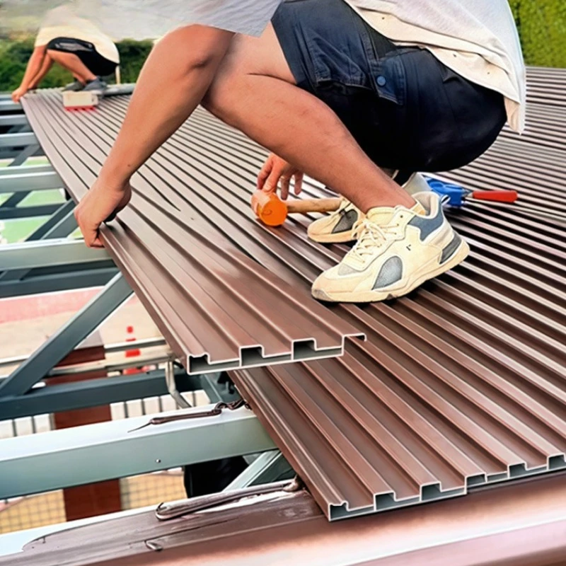 Insulated double-layer roof sun room, canopy waterproof and soundproof concave and convex cover