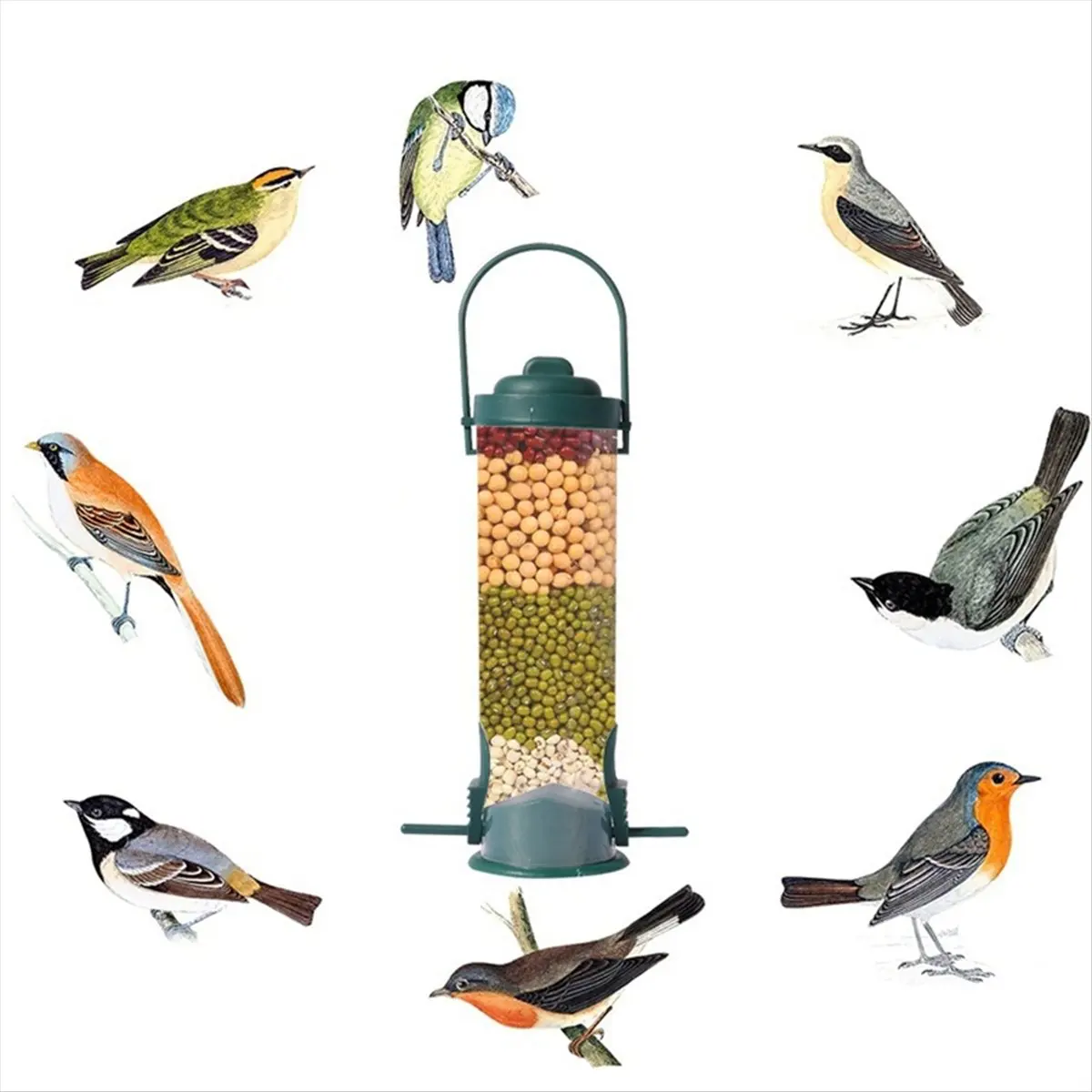 New Arrival Proof Wild Bird Feeder with Weight Activated Rotating Perch - Seed Capacity