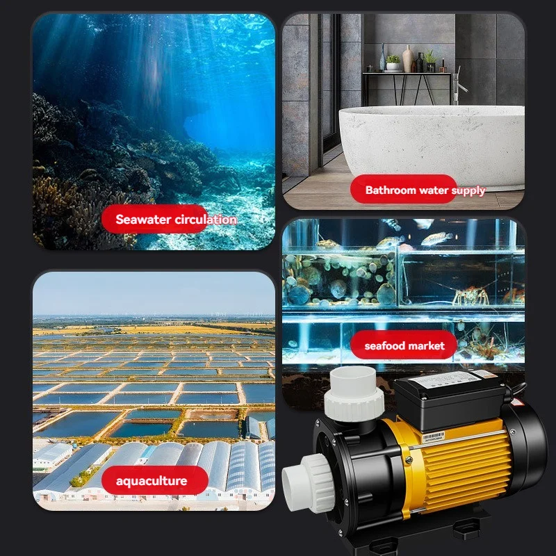 Seawater Pump Aquaculture Fish Pond Seafood Swimming Pool Circulating Bathtub Corrosion-resistant Special Water Pump