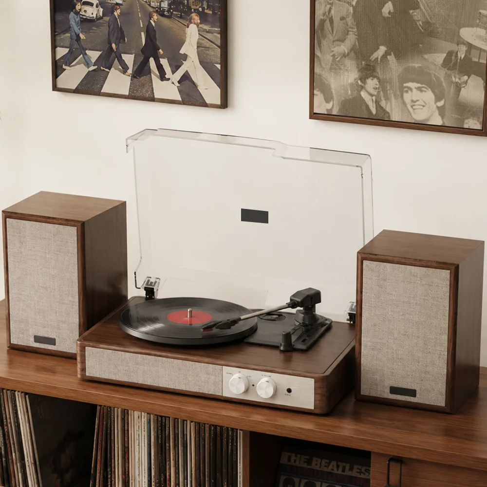 Wireless  Vinyl Record Player with External Speakers Support USB Recording & RCA Output