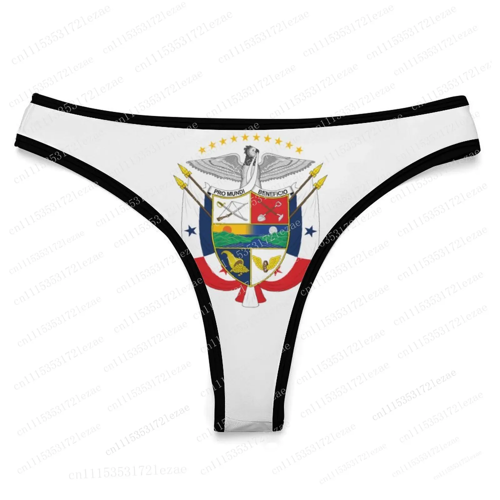 Panama Flag Customized Ice Silk Thong Panties Women's Comfortable Briefs S-2XL Suitable for Everyday Wear and All Seasons