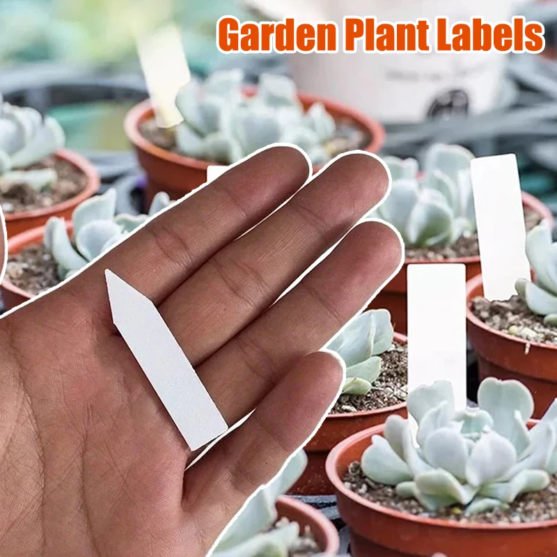 

Plant Labels Tags for Seedlings Garden Waterproof Plastic Labels Markers Garden Plant Labels Plant Accessories Nursery Markers