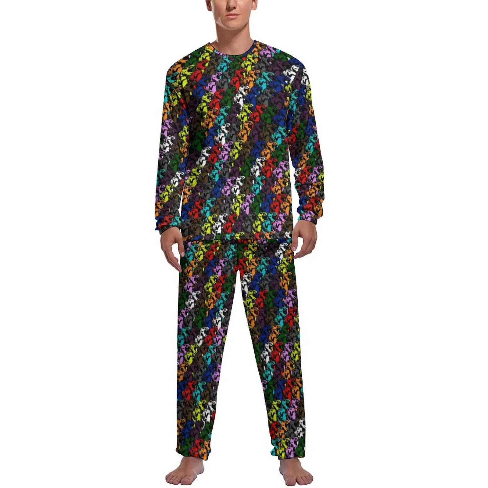 

Dinosaurs Rainbow Pajamas Daily Abstract Animal Print Leisure Home Suit Man 2 Piece Design Long Sleeves Fashion Pajama Sets