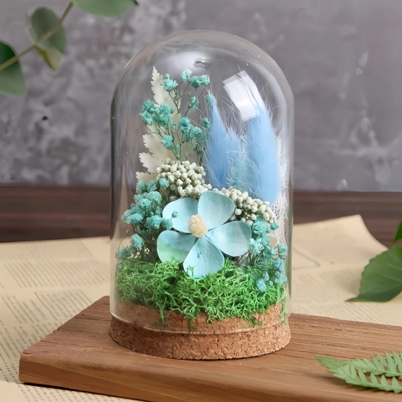 4sets/pack 8*6cm 8*8cm 8*10cm 8*12cm 8*15cm 8*22cm Small Size Glass Dome Decoration Dry Flower Storage Bottle Cork Base Cover
