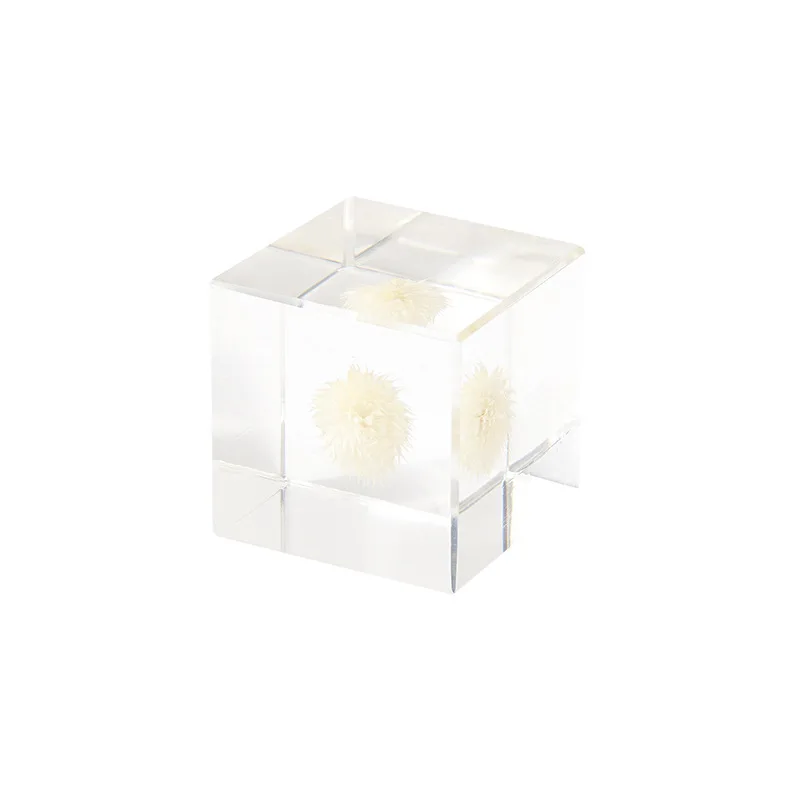 

Modern minimalist herbarium cube resin ornament