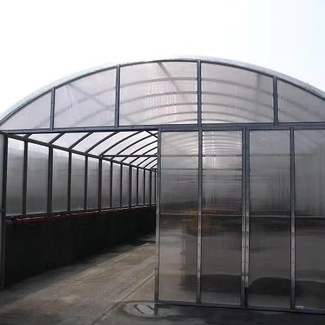 

Customized greenhouseModern Commercial Multi-span Arch Polycarbonate Greenhouse with Hydroponic System for Tomato