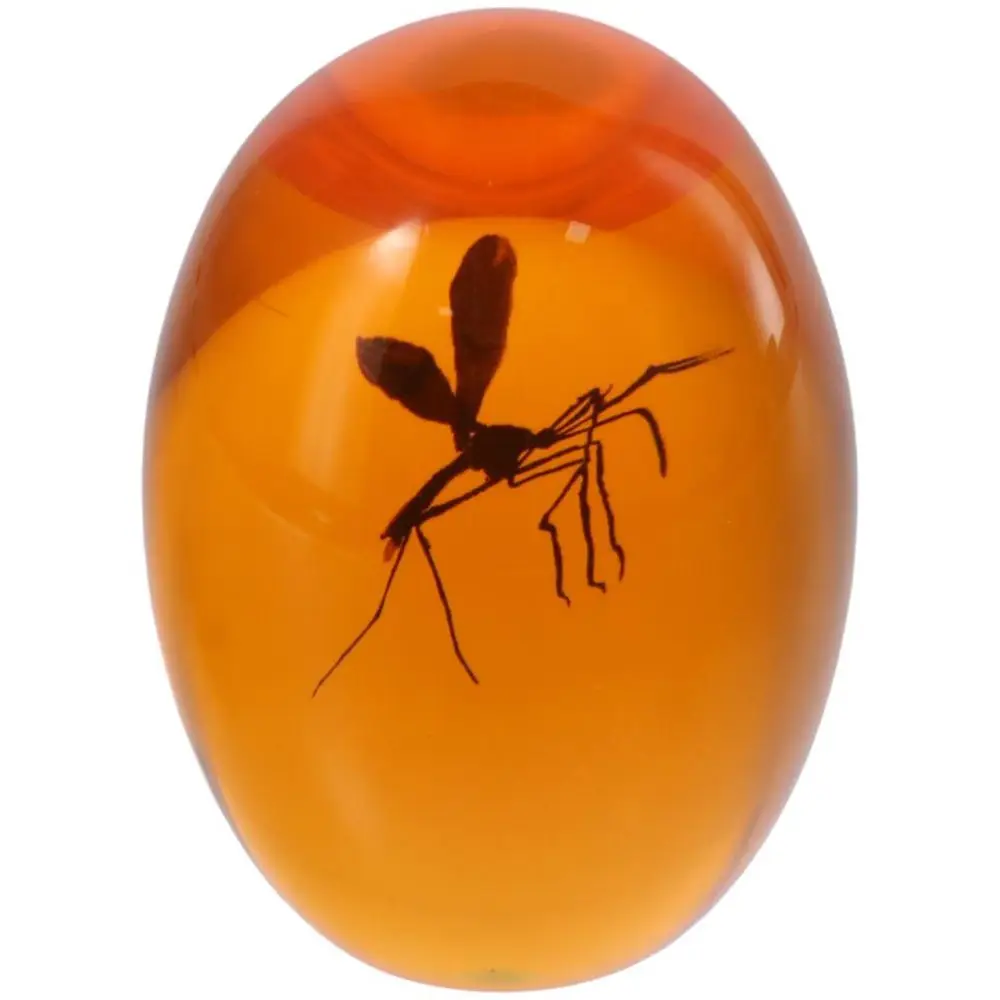 Beautiful 3D Paperweights Mosquito Coleção Figurines, Paperweight Amber Ornament, Design exclusivo, Home Decor