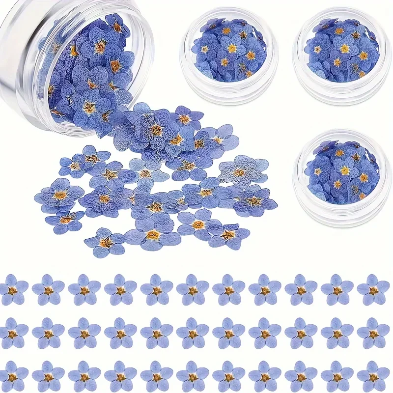 

20 шт./кор. мини-искусственные цветы Forget-Me-Not, искусственные цветы, искусственные цветы, набор прессованных сушеных цветов для дизайна ногтей, ювелирные изделия из смолы