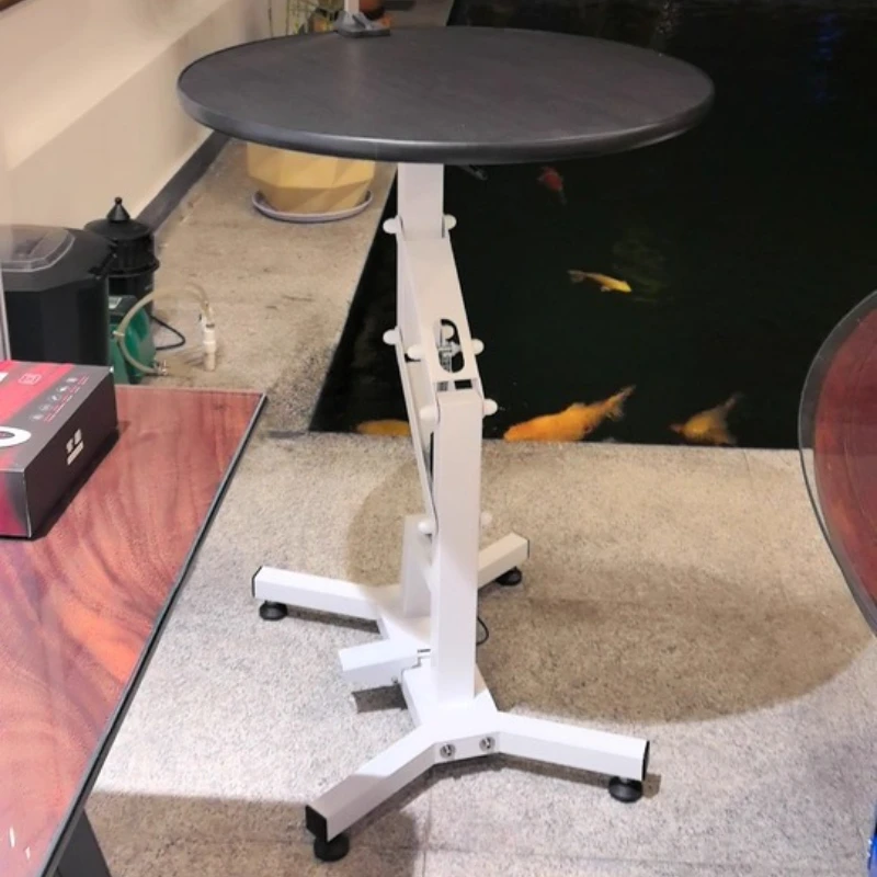 Pet Grooming Table for Small Dogs&Cats-Hydraulic Lift, 360° Rotation Anti-Slip Platform, Foldable Professional Styling Station‌