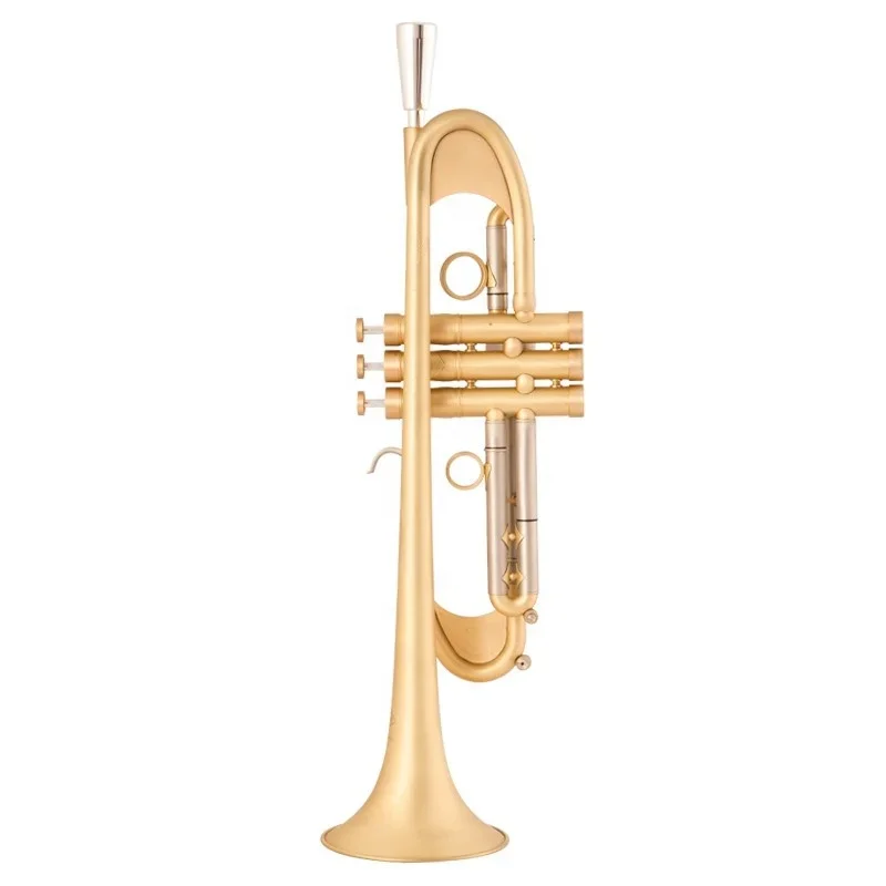 Wholesale Pro Plus Heavy B-Flat Trumpet In Brushed Gold Band Playing Brass Instrument With EB Tone Lacquer Surface