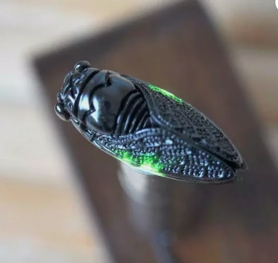 Hand-Carved cicada Natural jade pendant Amulet black green jade statue Necklace