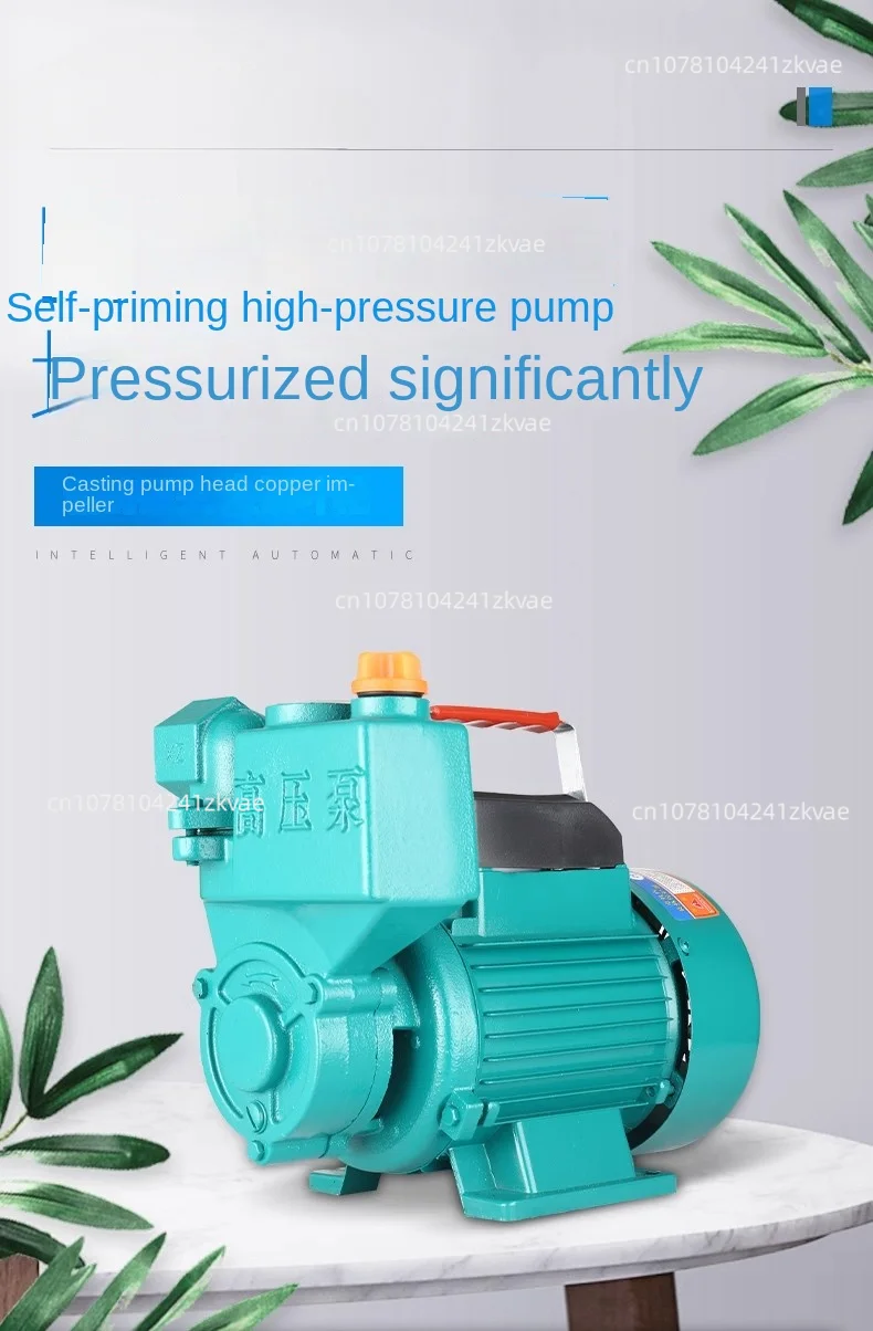 Air Cooled Water 220V 125W 250W Pump Booster Home Cast Iron Automatic Water Pipe Tap Self-priming Pump for Hot and Cold Water