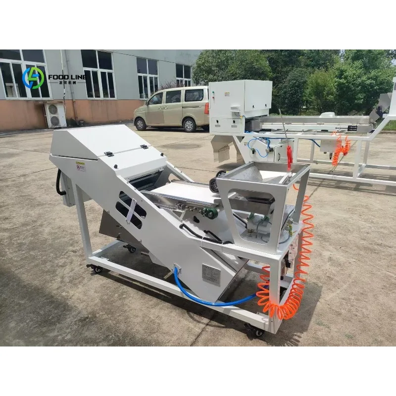China Quality Supplier Rice Color Sorter Coffee Beans Colorful Color Sorter Sorting Machine FL Customized