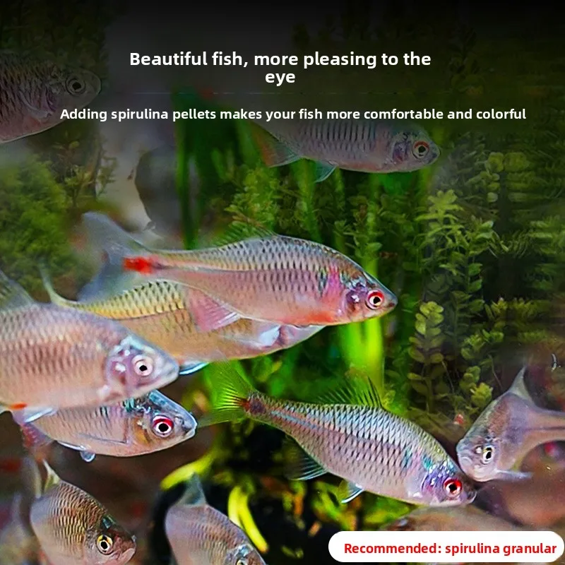SUNSUN High Protein Native Fish Food, Floating Pellets for Bitterling, Goby, Minnows, Betta and Tetra