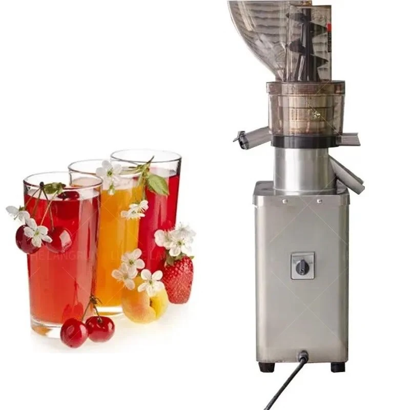 Commercial Powerful Slow Fruit Vegetable Juicer Stainless Steel Cold Press for Carrot Ginger Juice