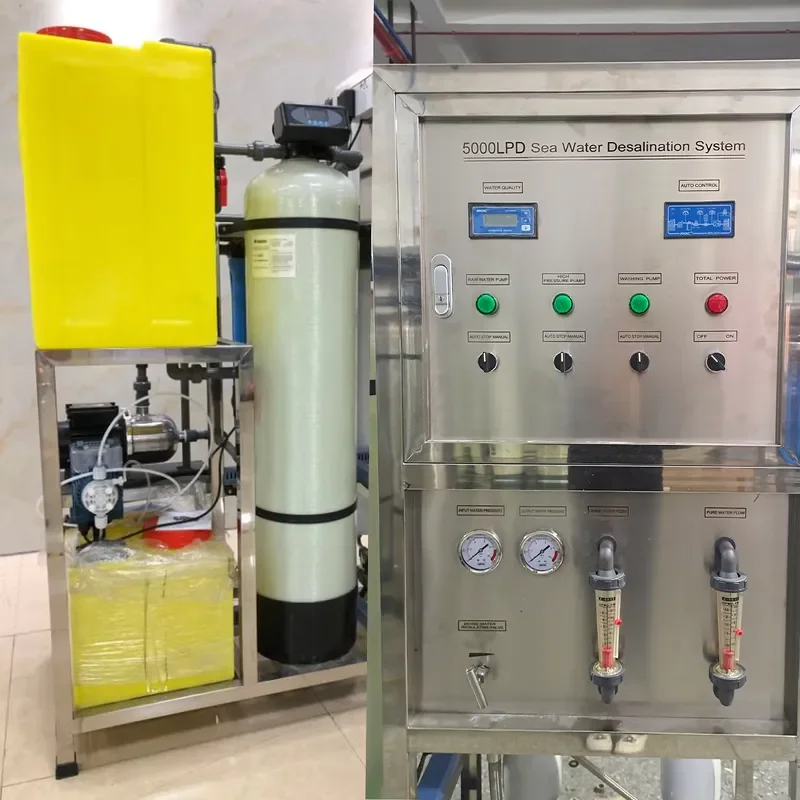 Seawater Desalination RO Plant Salty Remove Purifying Machine Plant Mobile Solar Seawater Desalination System