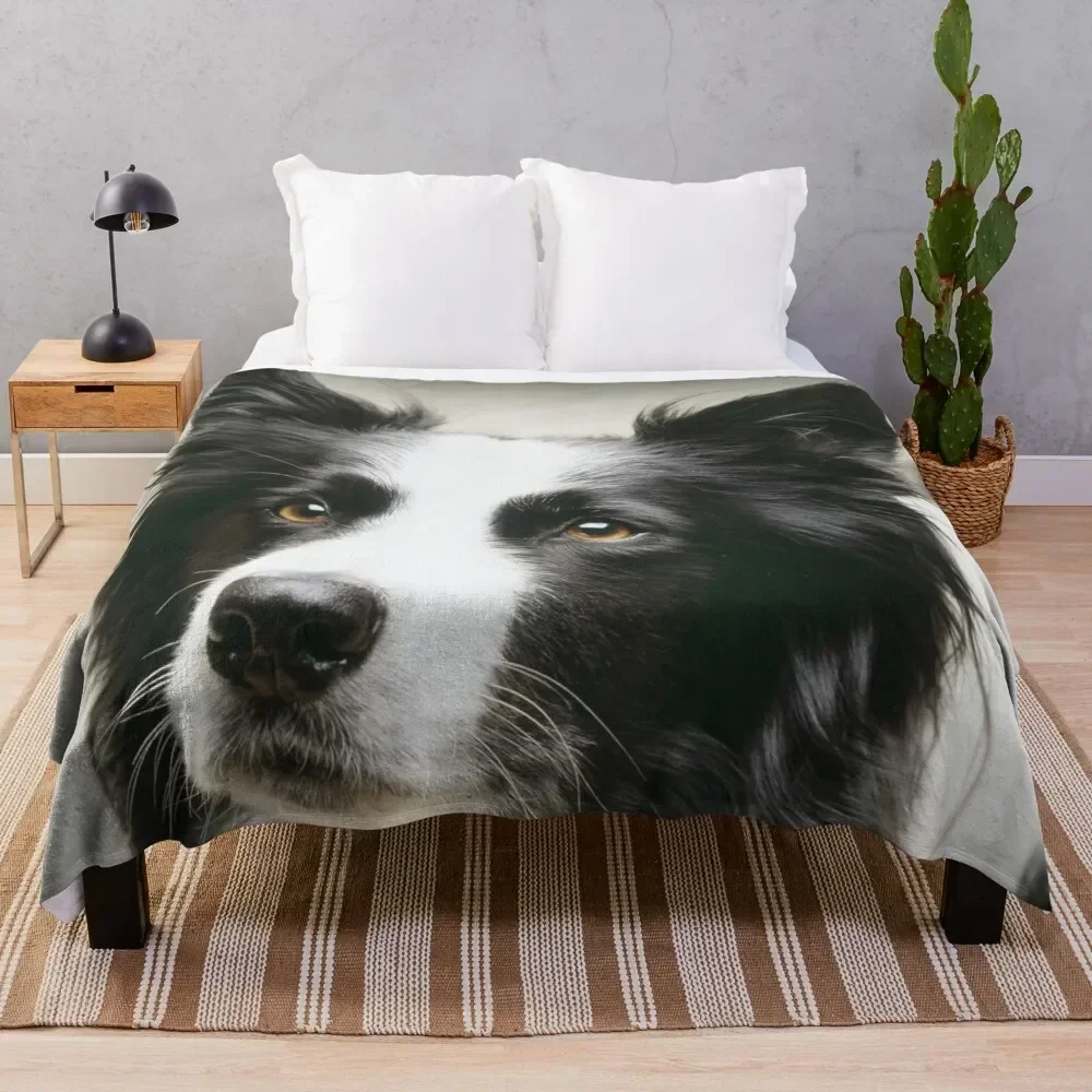 

Working Border Collie Throw Blanket Luxurious Soft Fuzzy Blanket for Sofa Bed