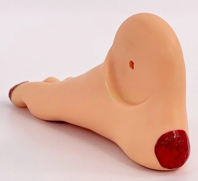 

Advanced Diabetic Foot Care Model, Foot Pathological Change Model