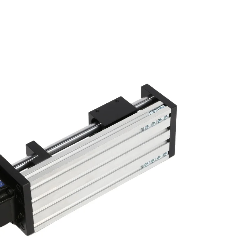 Double-Line Rail Linear Bearing Module Ball Screw Intelligent Motion Platform Track for Laser Cutting