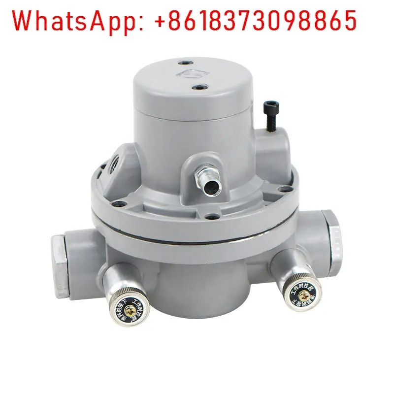 

Longzengcheng Victory Water-based Printing Machine Ink Pump Changjiang CJ601S