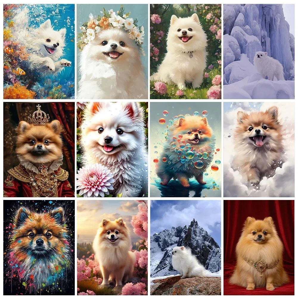 Without Frame Pomeranian DIY Digital Oil Painting Parent-child Friends Hand-painted Home Wall Decoration Simple Handmade Birthda