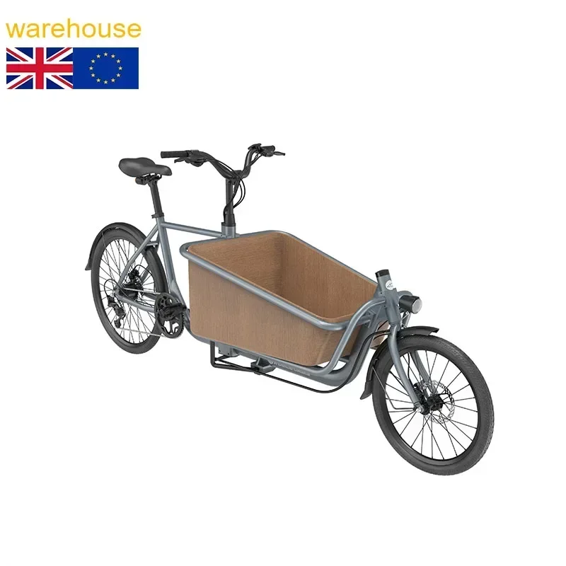 Factory Two Wheels Electric Cargo E Bike  Electric Hybrid City Road Bike ebike Cargo