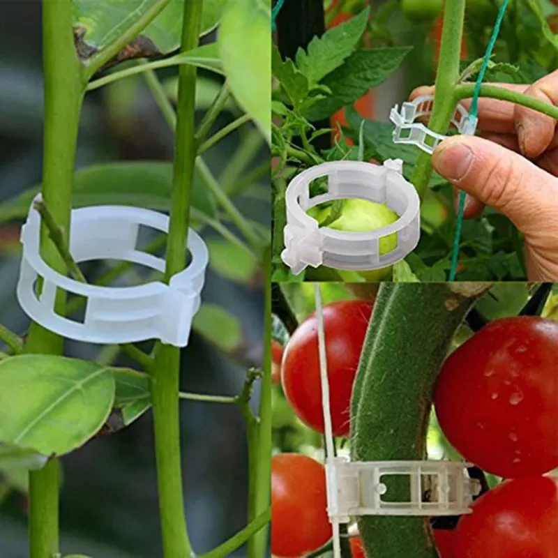 50/100pcs Plastic Plant Clips Supports Connects Reusable Protection Grafting Fixing Tool Gardening Supplies for Vegetable Tomato