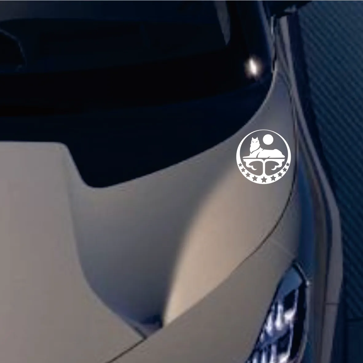 Various Sizes Chechen Wolf funny car sticker vinyl decal white/black for auto car stickers styling car decoration