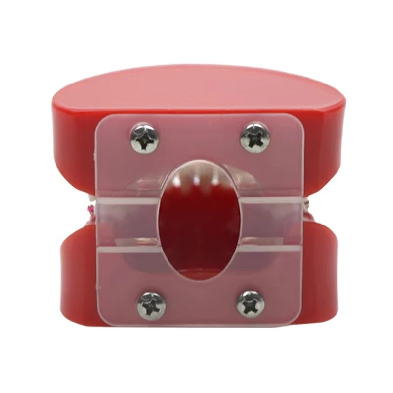 Orthodontic Teeth Model Dental Typodont Orthodontic Teeth Model 1:1 Standard Demo Dental Supplies