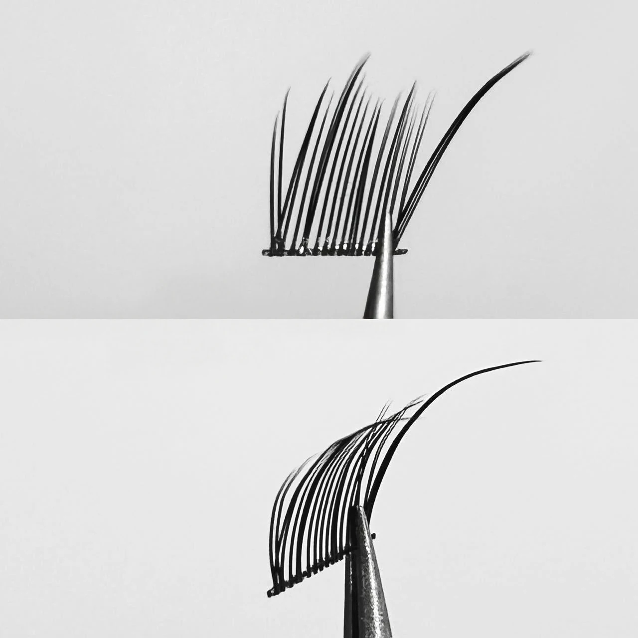 Fox-estilo natural cílios postiços extensões individual cluster cílios alados grosso enrolado diy diário cílios suprimentos preto