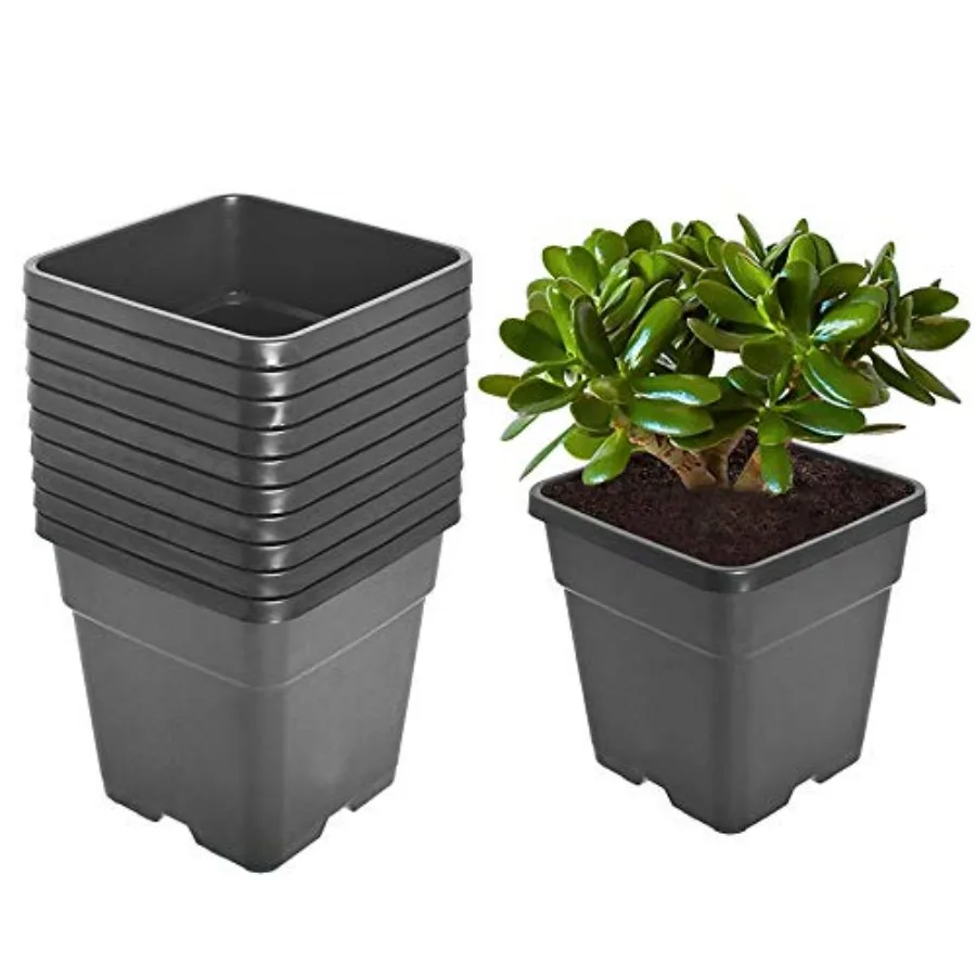 Nursery application: square 10-gallon growing pots, black polypropylene, durable UV-resistant, stackable design, 10 pcs