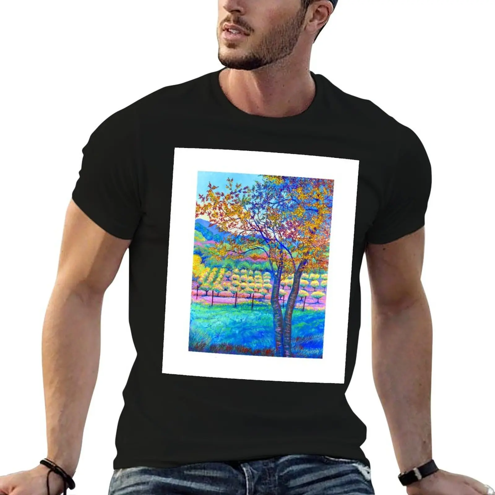 Sonoma Valley California wine lover vineyard T-Shirt blue archive customs Blouse mens t shirt graphic