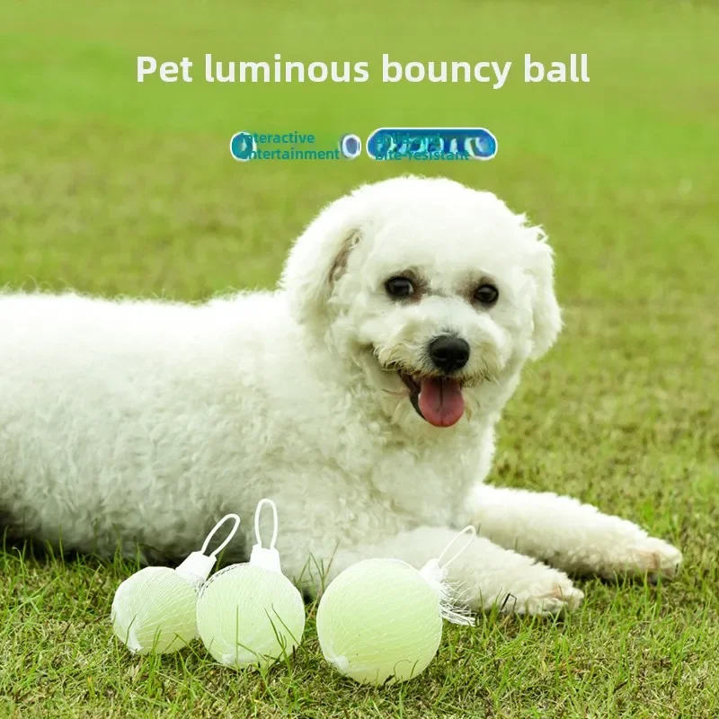 Pet Ball Elastic Glow-in-the-dark Ball Dog Toy Bite Resistant Boring Solid Ball Small, Medium and Large Dog Teething Pet Toy