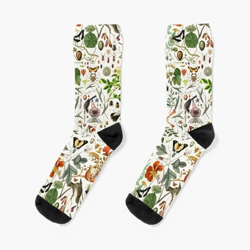 

Biology 101 Socks custom sports Antiskid soccer Men's Socks Women's