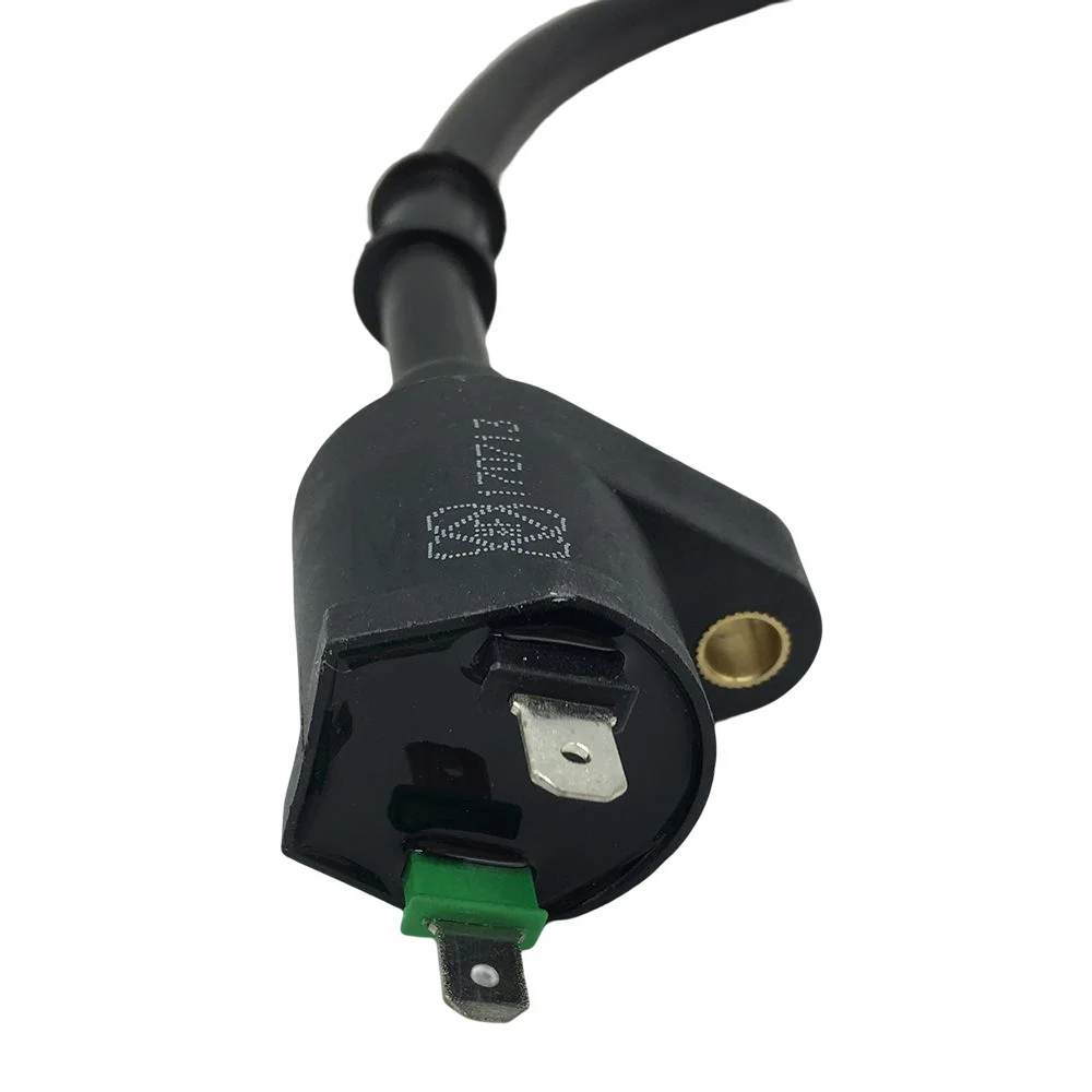 Ignition Coil Module For Kayo Predator Bull Storm 125 180 ATV Quad 4 Wheelers 125cc 177cc