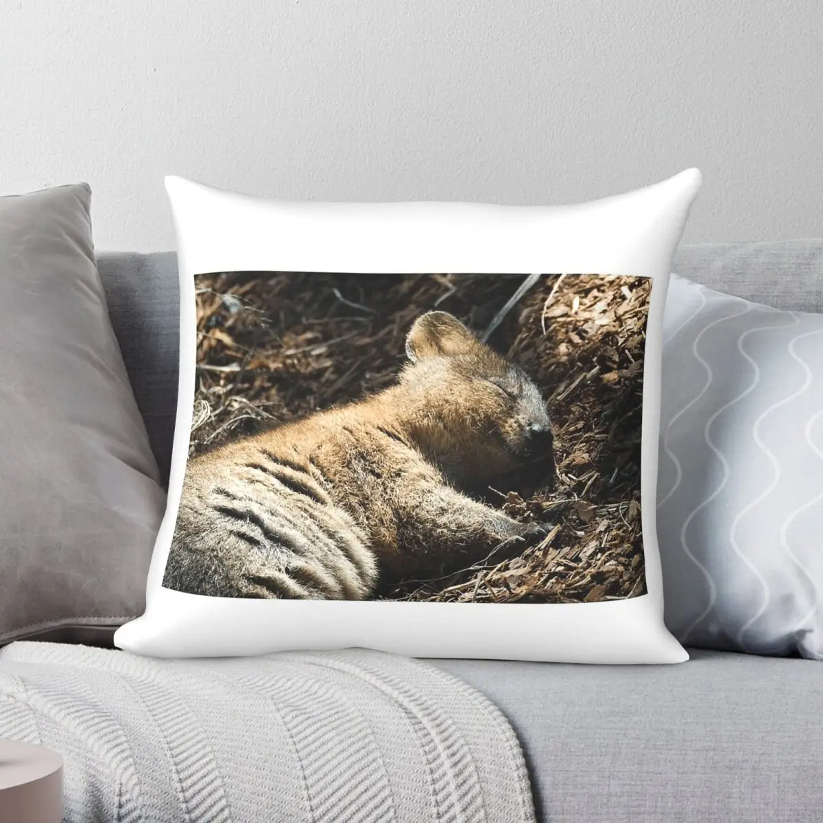 Quokka Dreaming Pillowcase Polyester Linen Velvet Pattern Zip Decorative Sofa Seater Cushion Case 18