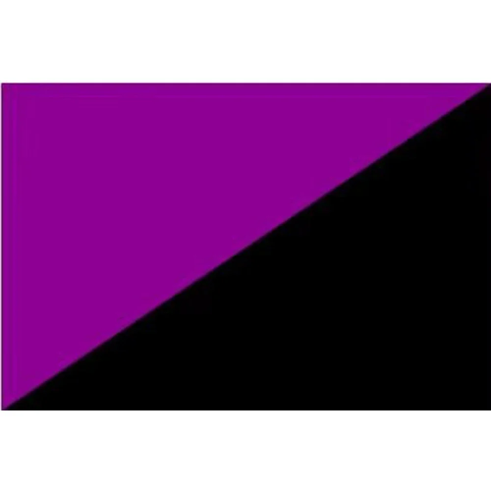 2X3FT Пользовательский анархистский флаг феминизма 90x150 см с полуФИОЛЕТОМЫМ ПОЛУЧНЫМ ЧЕРНЫМ ДЛЯ МУЗЫКИ CLUB SHOP Banner