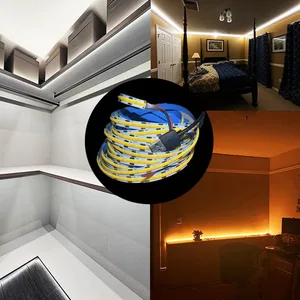 LED -Lichthaut mit USB -Stromversorgung, hoher Dichte, flexibler Beleuchtung, Multi -Farben, 320Led pro m, DC5V, 3000K 4500K 6500K 10 Hauptverkaufs -LED -Licht für Sofa - №9