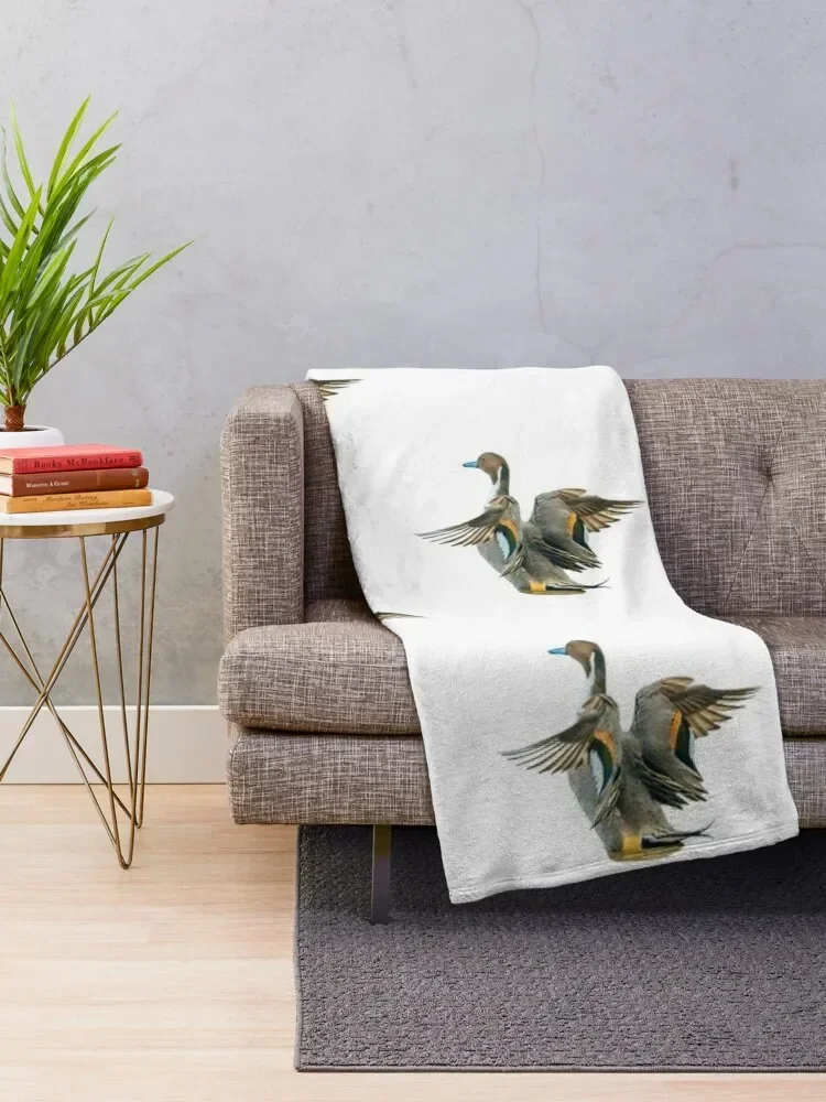 Pintail Duck in a flap Throw Blanket Fashion Sofas sofa bed Blankets