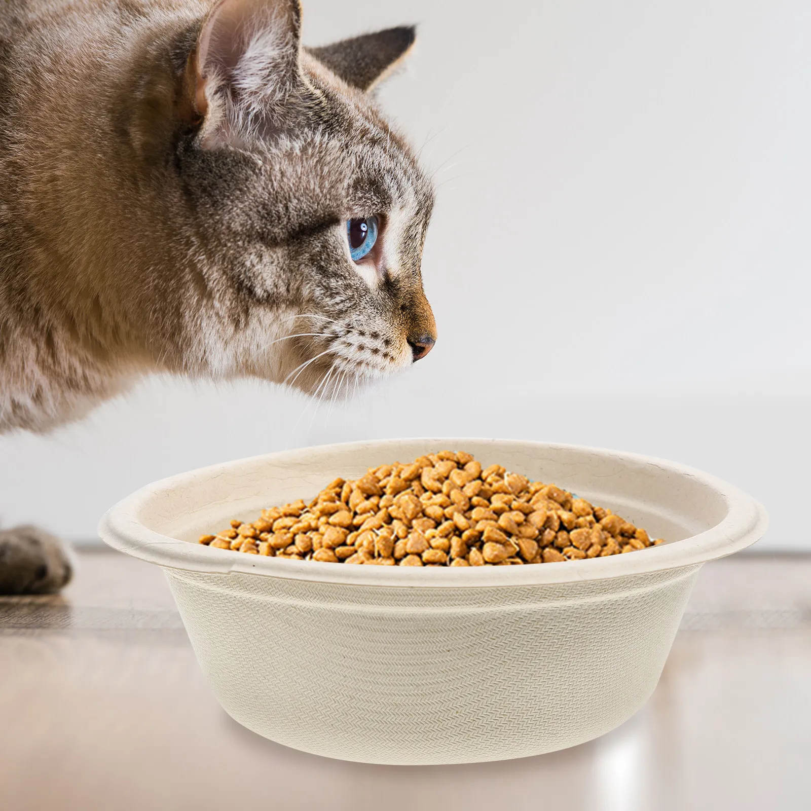 Disposable Cat Bowl for Cats Kittens Small Dogs Safe Stable Bottom No Clean Needed Smooth Surface Easy Feeding Pet Food Water