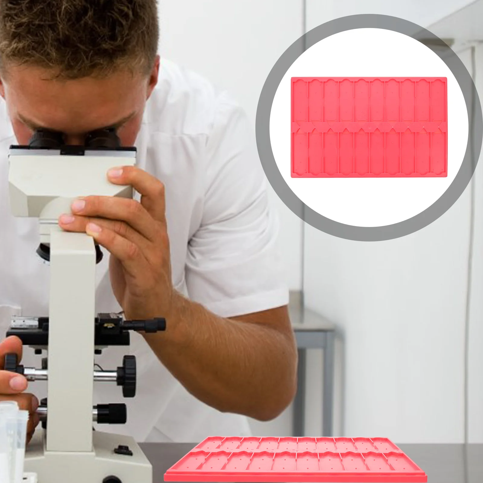 

Microscope Slide Trays 20 Capacity Microscope Slide Plate Microscope Slide Holder Plastic Microscope Slide Trays